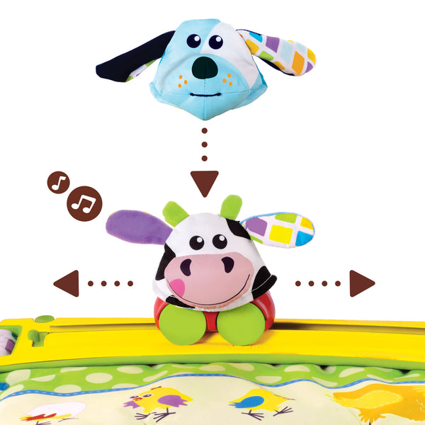 Tummy Time Mat